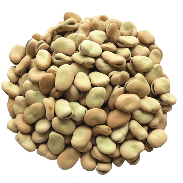 Whole Fava Beans