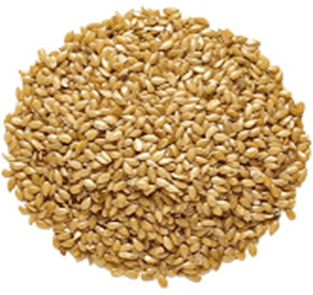 Yellow Flax Seeds